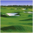 Florida Golf Courses